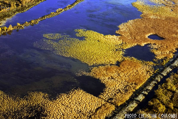 photo de camargue