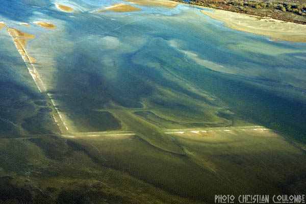 photo de camargue
