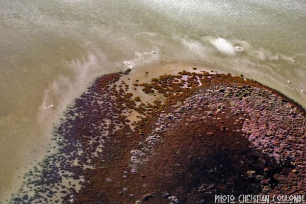 photo de camargue