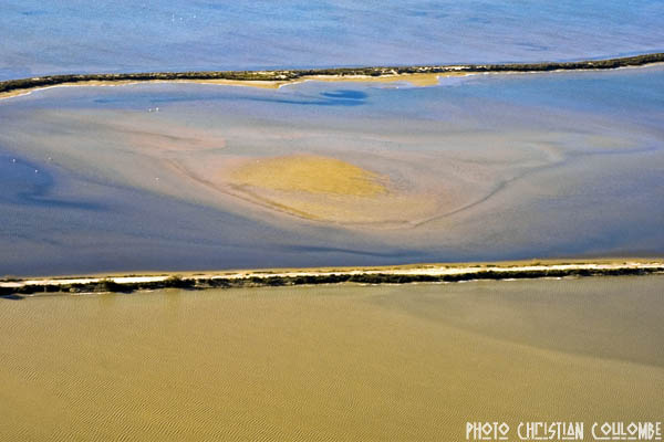 photo de camargue