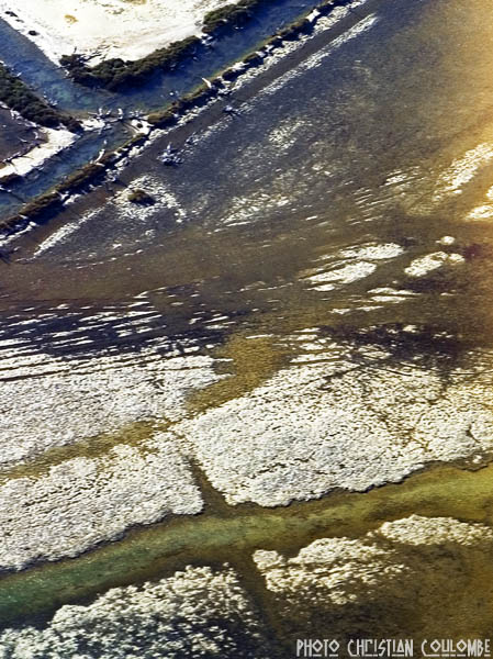 photo de camargue