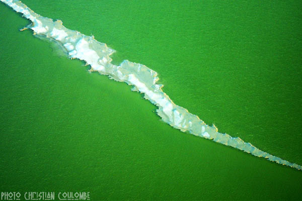 photo de camargue
