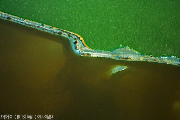 photo de camargue