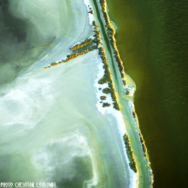 photo de camargue