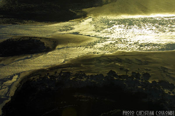 photo de camargue