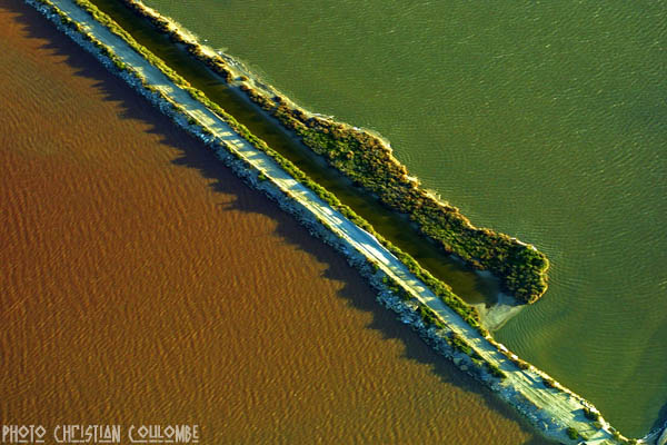 photo de camargue