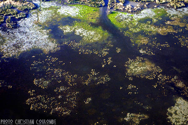 photo de camargue