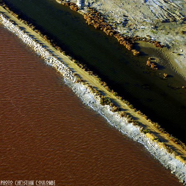 photo de camargue