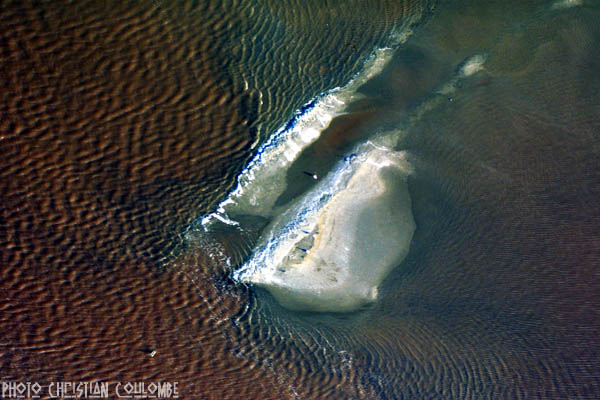 photo de camargue