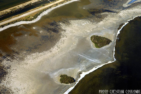 photo de camargue