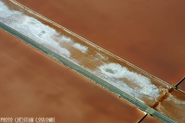 photo de camargue
