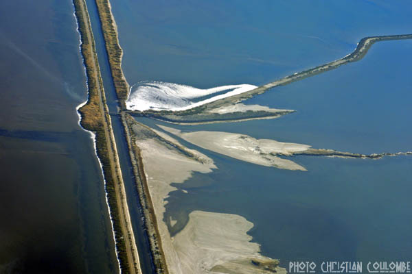 photo de camargue
