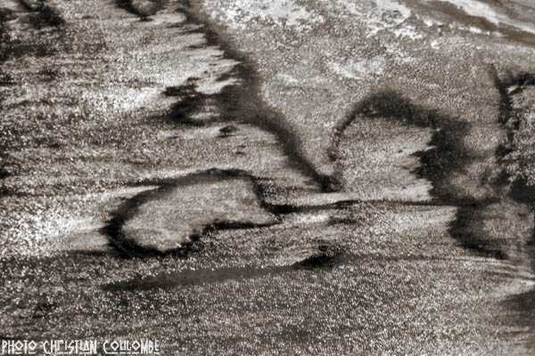photo de camargue