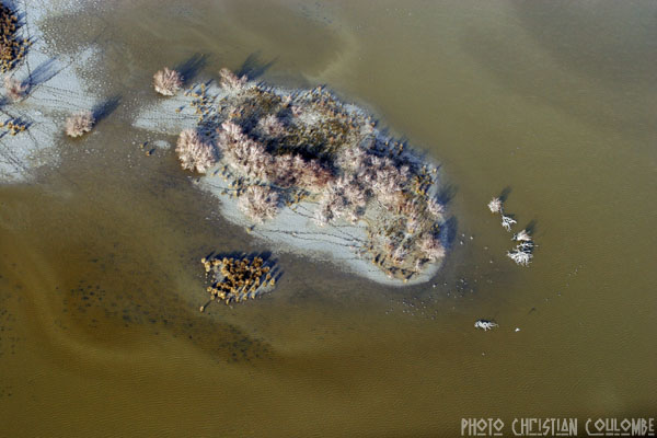photo de camargue