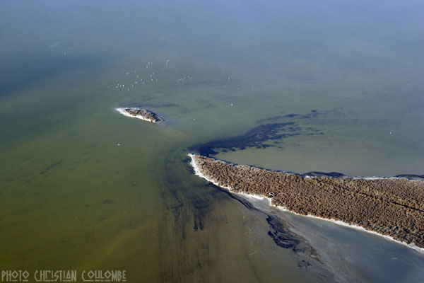 photo de camargue
