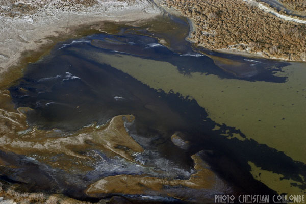 photo de camargue