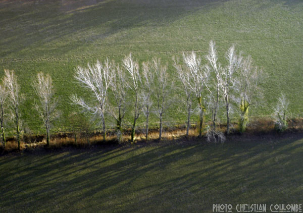 photo de camargue