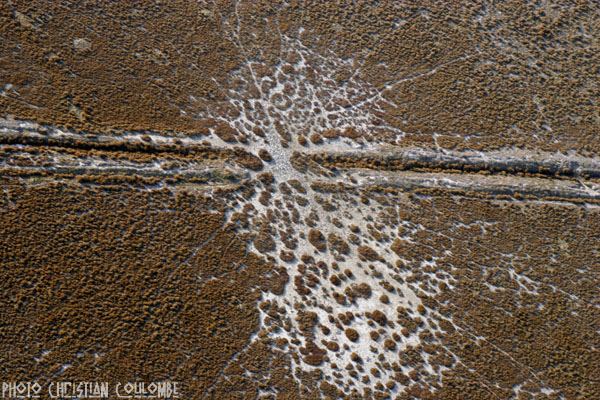 photo de camargue