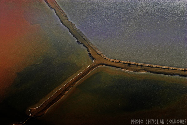 photo de camargue