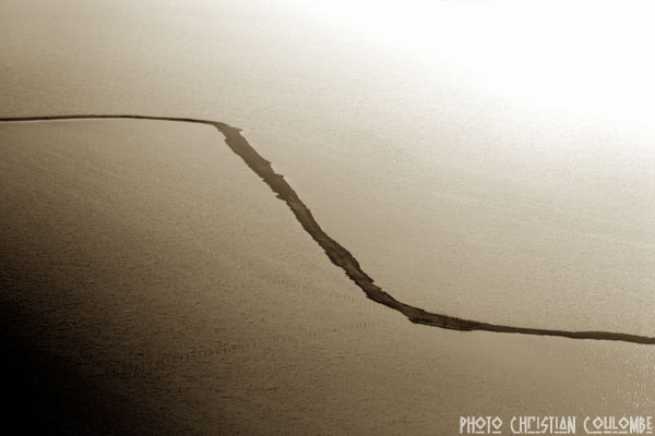 photo de camargue