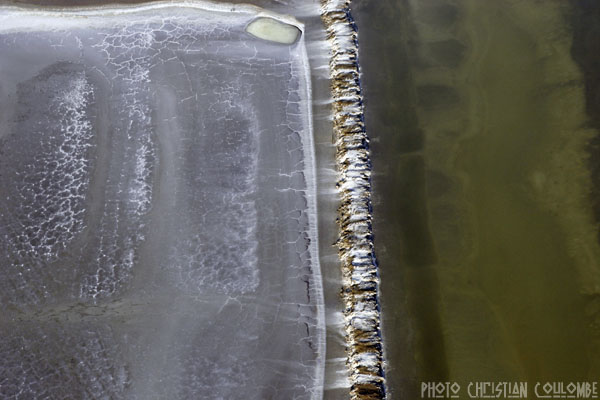 photo de camargue