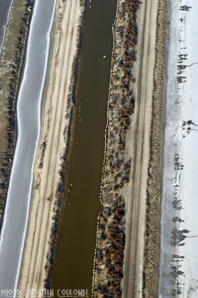 photo de camargue