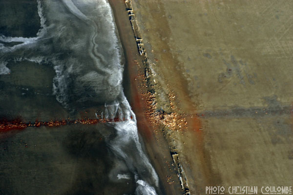 photo de camargue