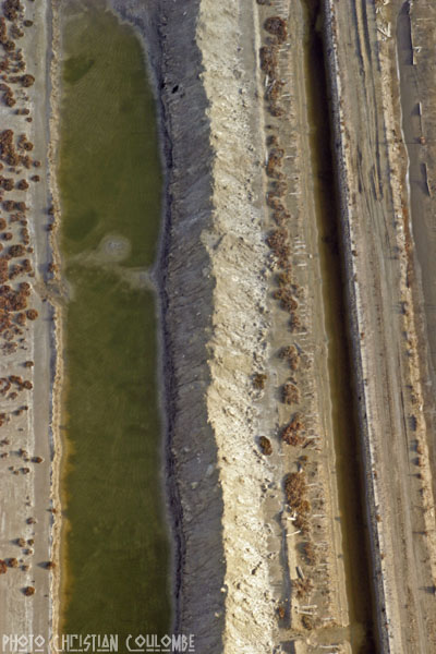 photo de camargue