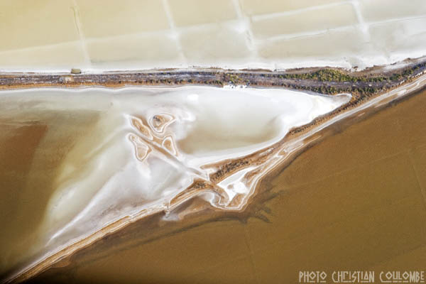 photo de camargue