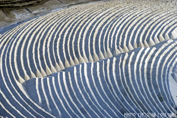 photo de camargue