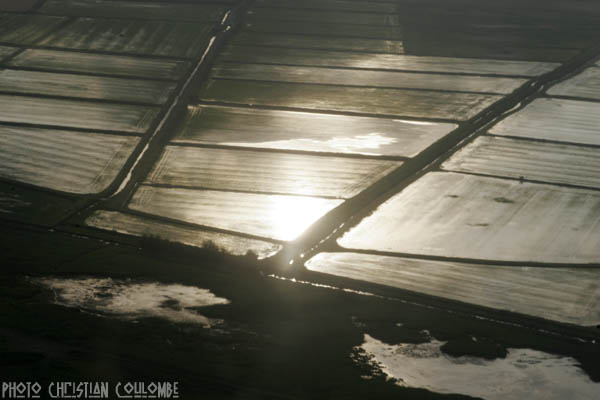 photo de camargue