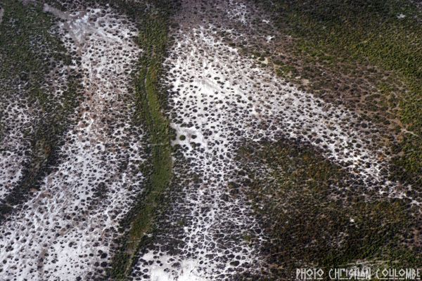 photo de camargue