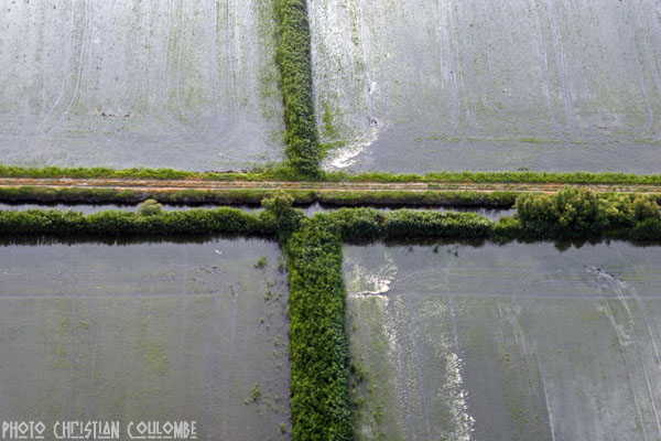 photo de camargue