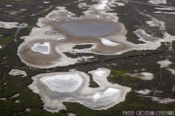 photo de camargue