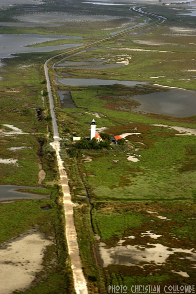 photo de camargue