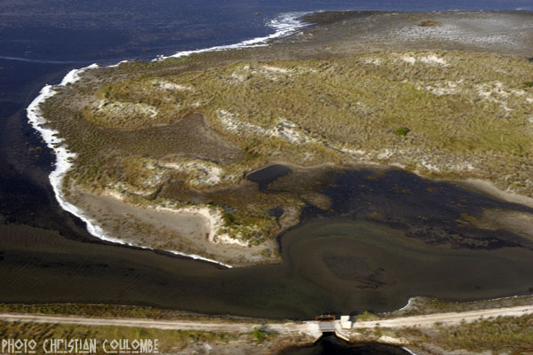 photo de camargue