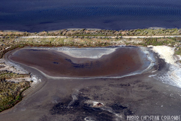 photo de camargue