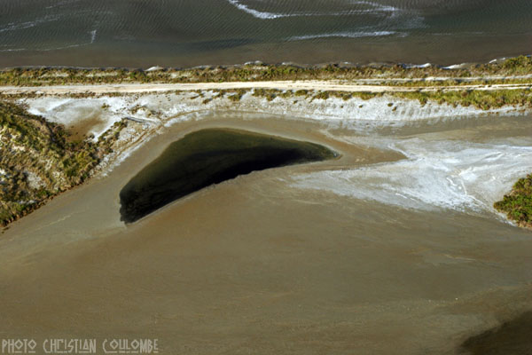 photo de camargue