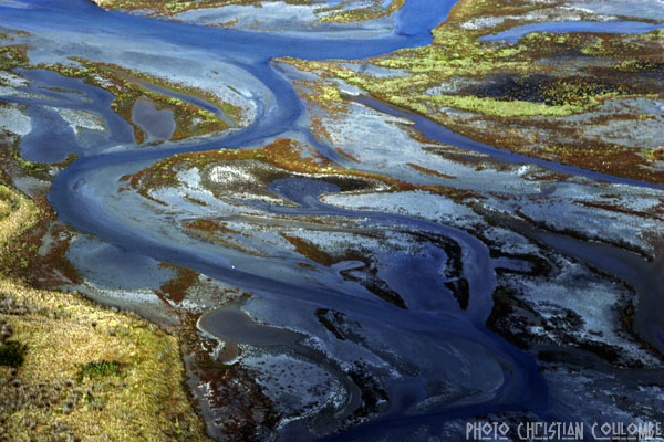 photo de camargue