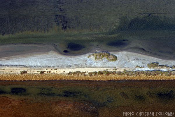 photo de camargue