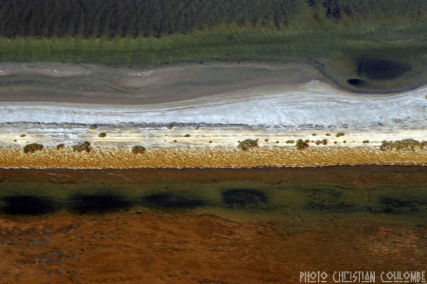 photo de camargue