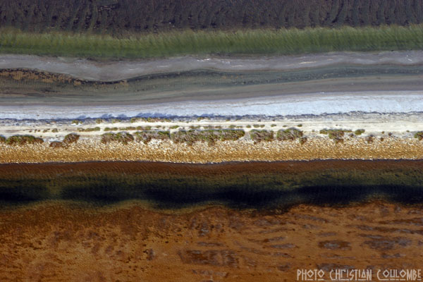 photo de camargue