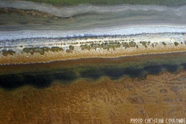 photo de camargue