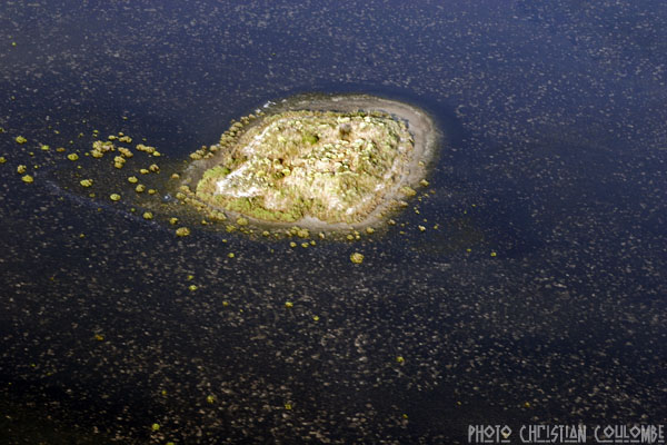 photo de camargue