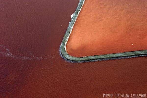 photo de camargue