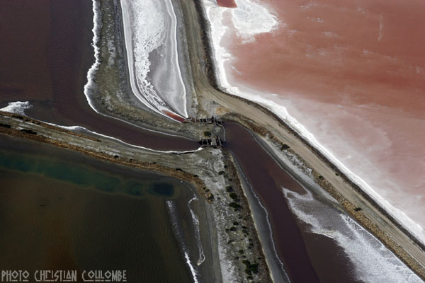 photo de camargue