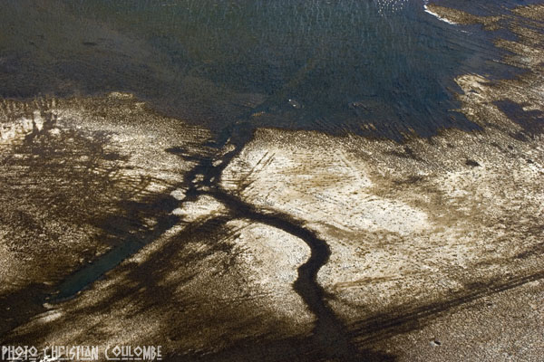 photo de camargue