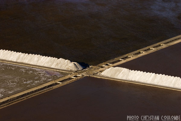 photo de camargue