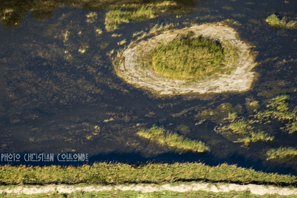 photo de camargue