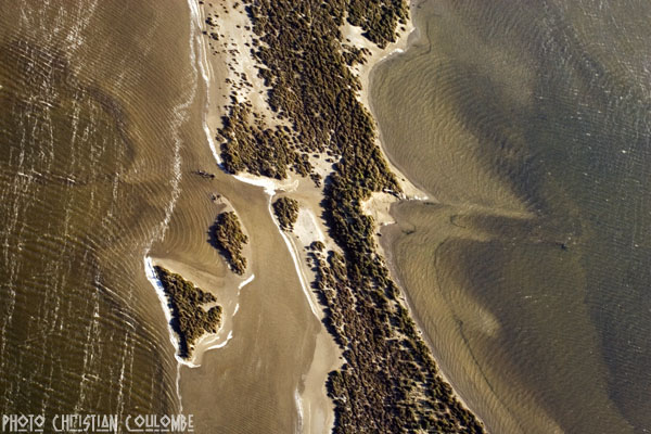photo de camargue